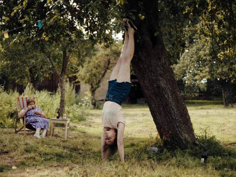 Slika - Gledati u sunce