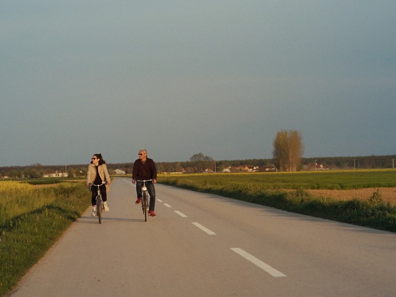 Slika - Godina prođe, dan nikako