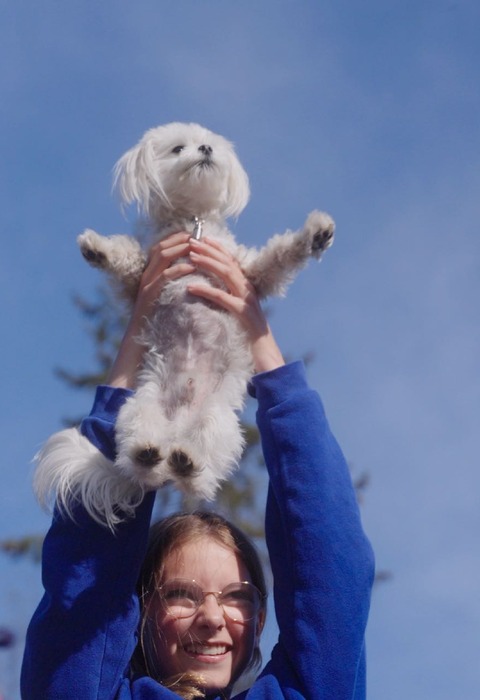 Mali psi glasno laju