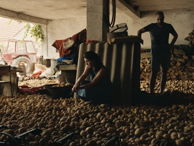 Slika - Priča o Siljanu