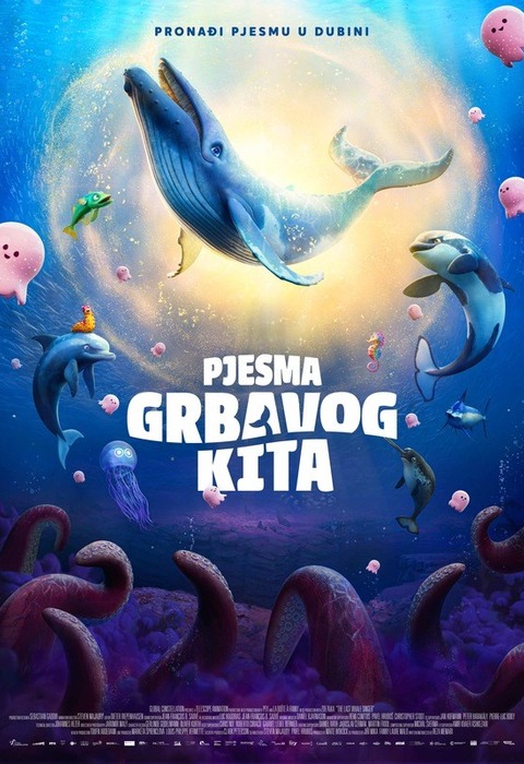 Pjesma grbavog kita - SINK