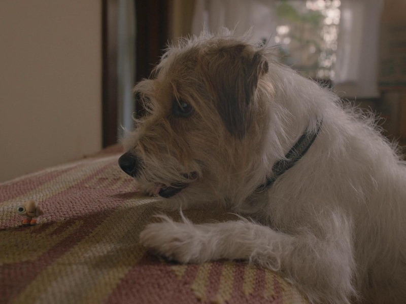 Slika - Marcel, školjkica u cipelama