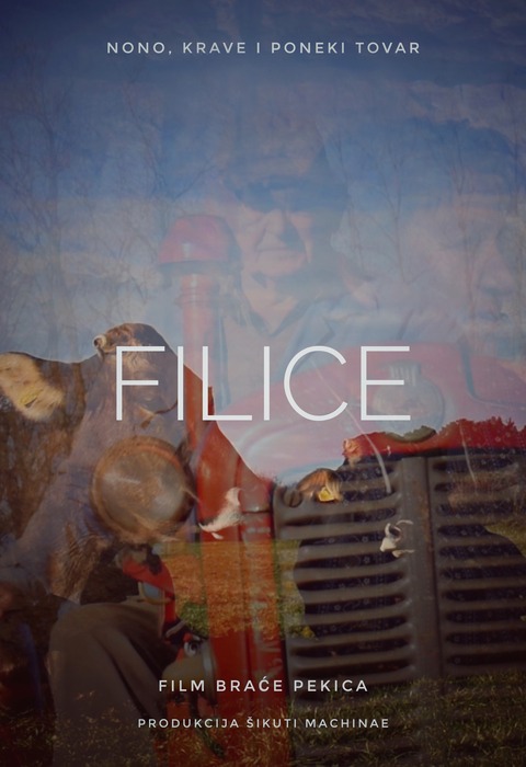 Filice