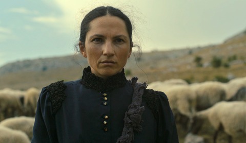 Senzorna projekcija, „Bog neće pomoći“ i „Zootropola 2“