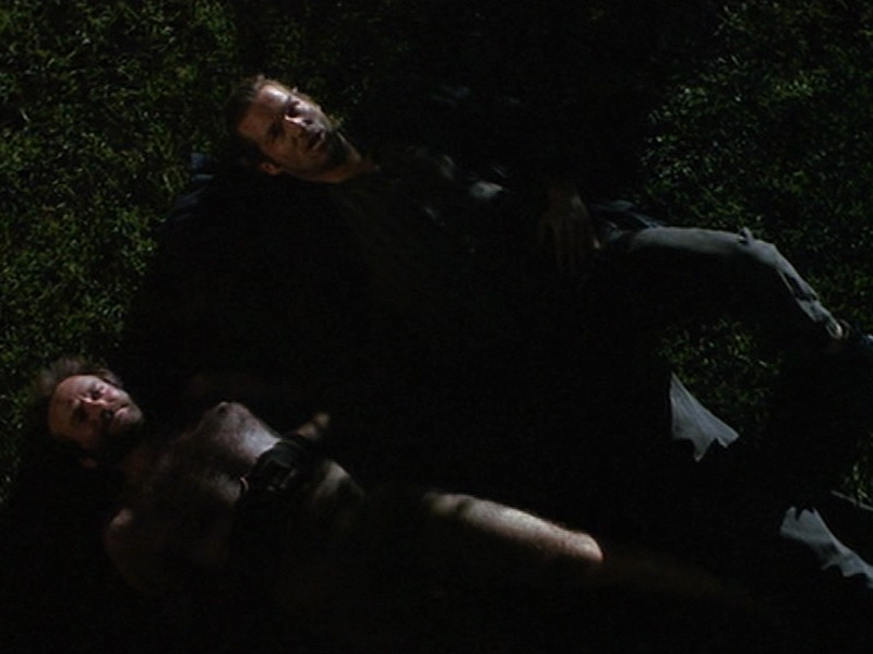 Slika - Kralj ribara