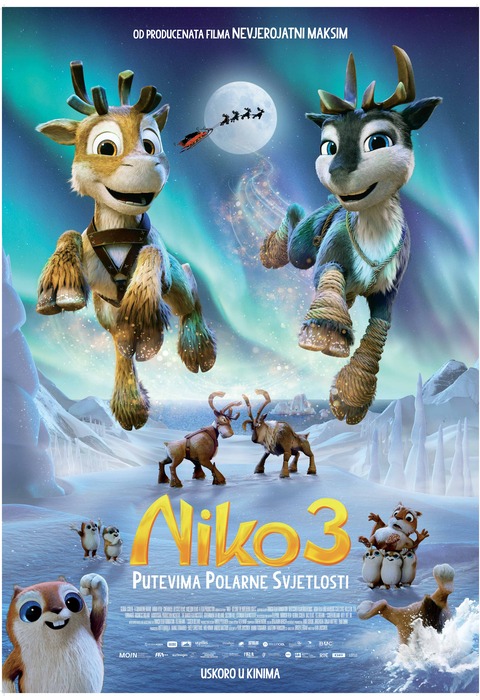 Niko 3: Putevima polarne svijetlosti - SINK