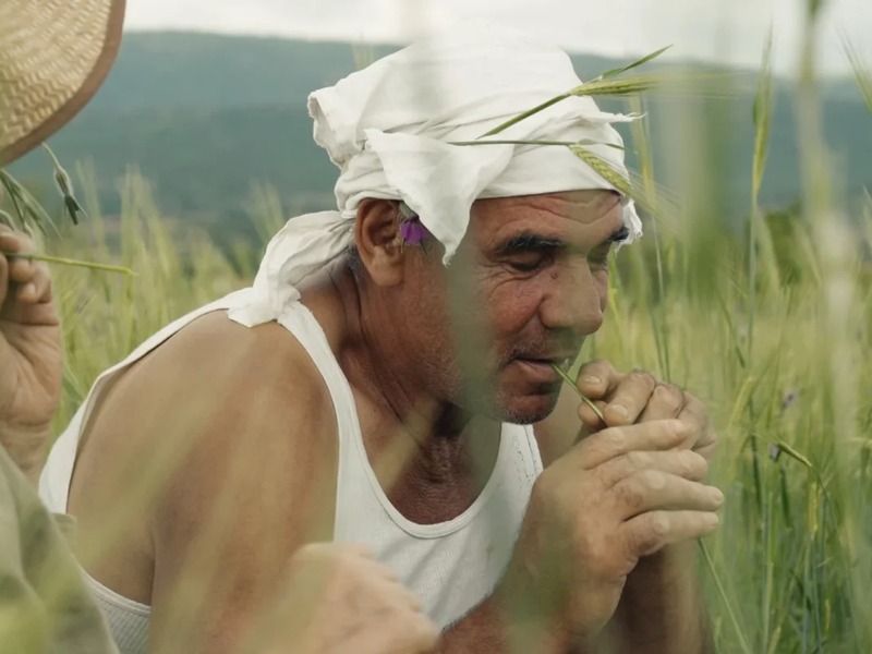 Slika - Priča o Siljanu