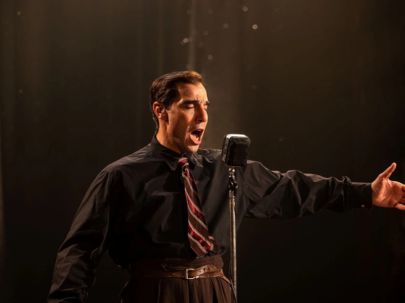 Slika - Gospodin Aznavour