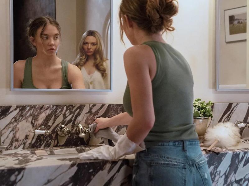 Slika - Kućna pomoćnica